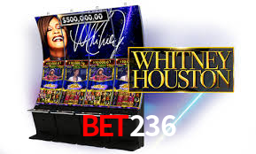 bet236